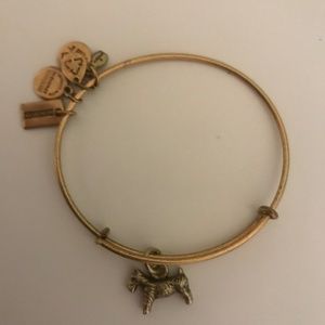 Alex and Ani Dog Bracelet